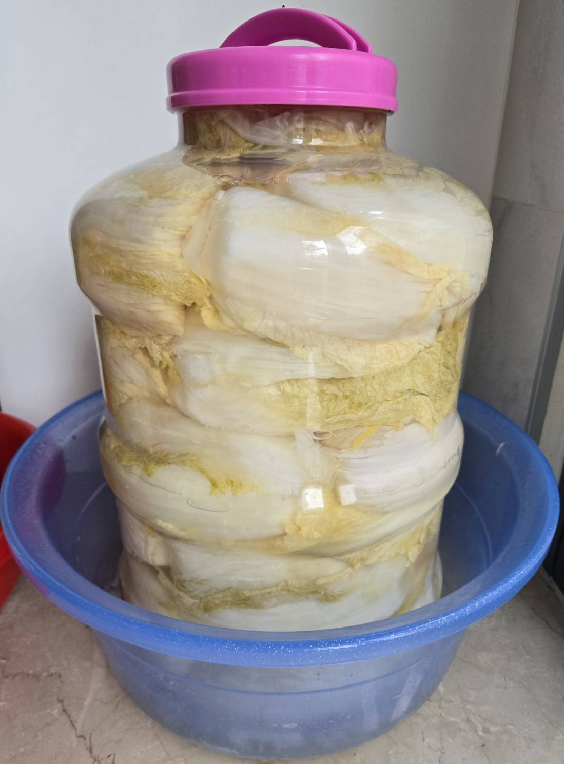 自製酸白菜甕裝發酵